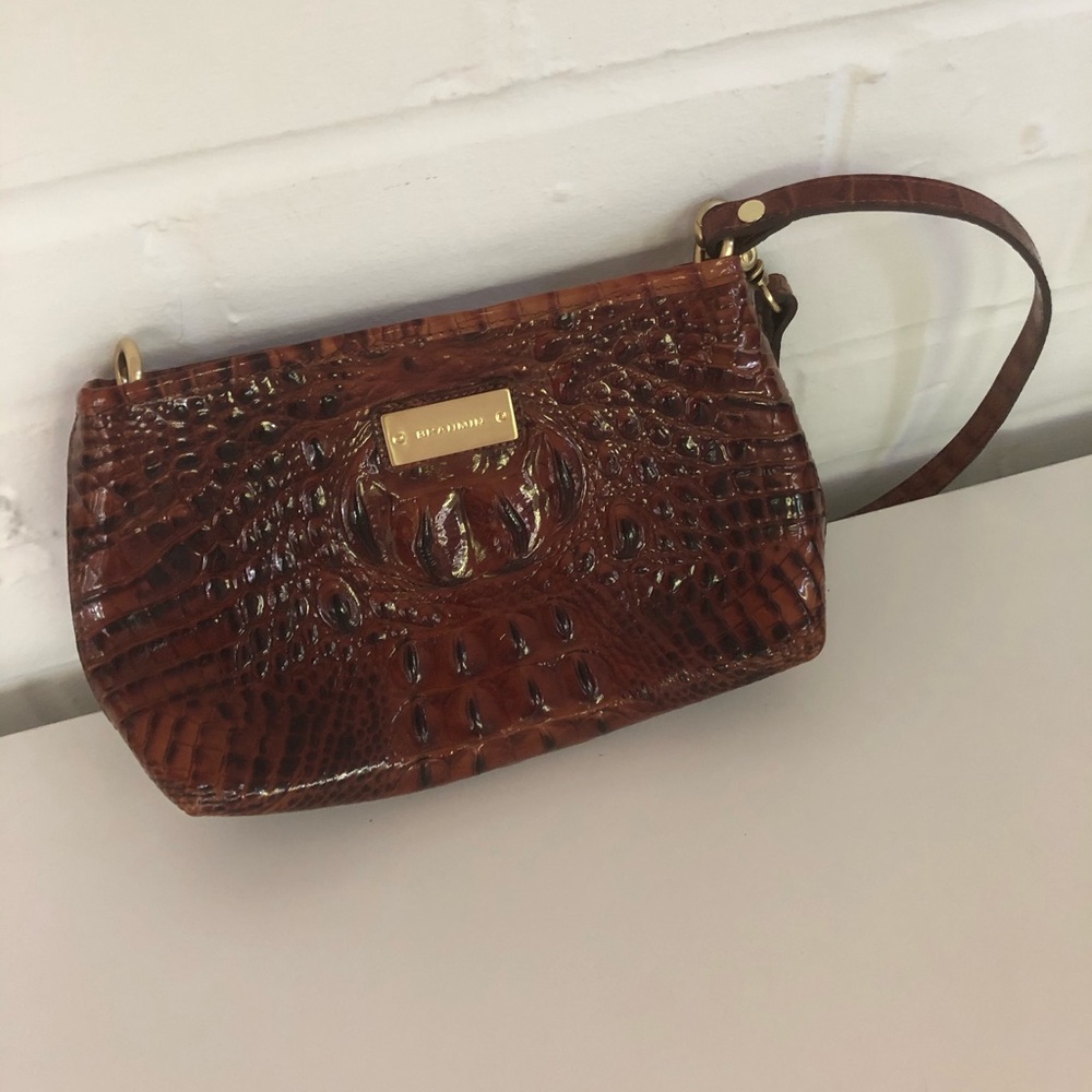 Brahmin Purse.